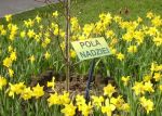 Podsumowanie akcji Pola Nadziei